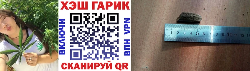 ГАШ гарик что такое Задонск